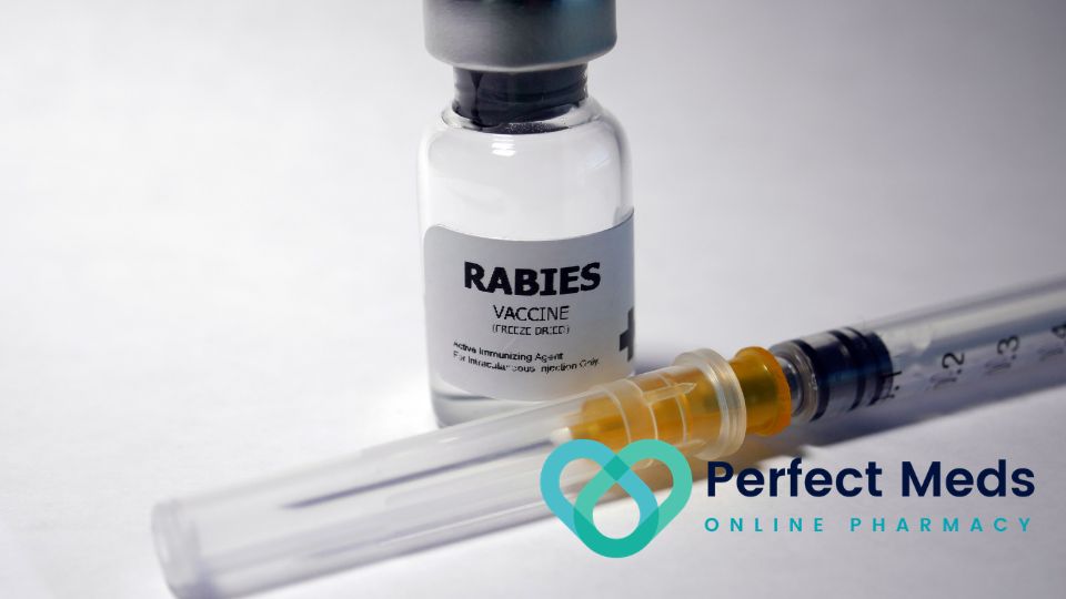 rabies vaccine on grey background